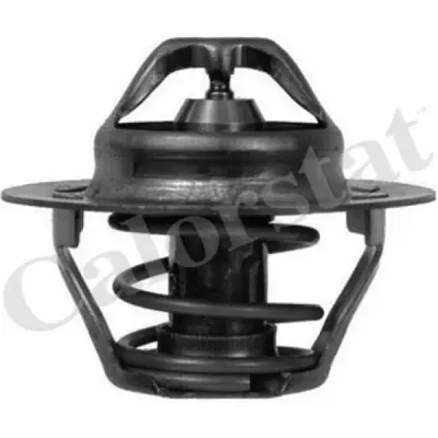 Termostat, lichid racire CALORSTAT by Vernet TH6045.89J
