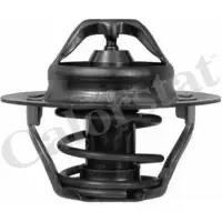 Termostat, lichid racire CALORSTAT by Vernet TH6045.89J
