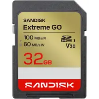 Card Memorie SDHC SanDisk Extreme Go, 32Gb, Clasa 10 / UHS-1 U1 SDSDXGN-032G-GNCIN