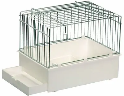 2 GR Colivie 55