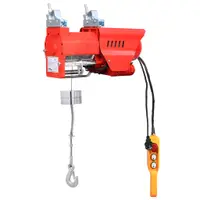 Gossi palan electric de viteza mare 300/600 kg 1300 w