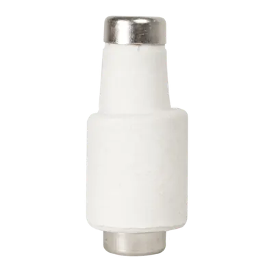 Patron Fuzibil 25A