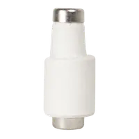 Patron Fuzibil 25A