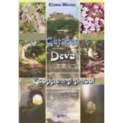 Cetatea Deva. Ecosistem si simbol