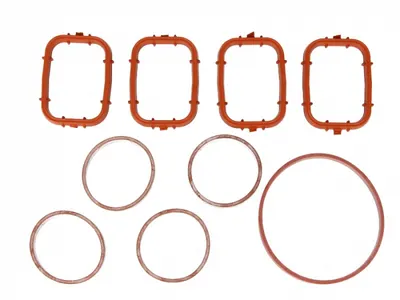 Set garnituri galerie admisie BMW Seria 1 (E87), 3 (E46), 3 (E90), 3 (E91), 5 (E39), 5 (E60), 5 (E61), X3 (E83); LAND ROVER FREELANDER; MG MG ZT, MG ZT- T; ROVER 75 2.0D intre 1998-2012