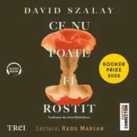 Ce nu poate fi rostit - Audiobook