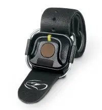 Dogtra Handsfree Square