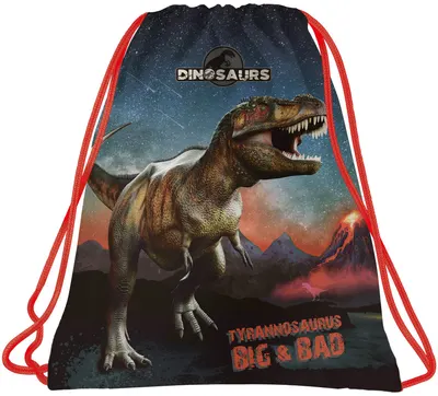 Sac de sport Derform Dinosaur 17