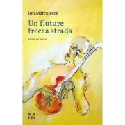 Un fluture trecea strada