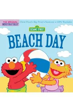 Indestructibles: Sesame Street: Beach Day: Chew Proof - Rip Proof - Nontoxic - 100% Washable (Book for Babies, Newborn Books, Safe to Chew)