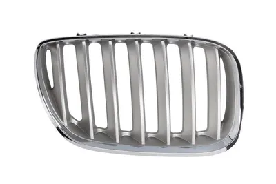 Grila radiator Dreapta potrivit BMW X5 (E53) 3.0-4.8 2000-2006 pana in 2006 - (titan)
