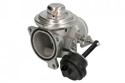 Supapa Egr Potrivit Audi A2, A3, A4 B5, A4 B6; Seat Arosa, Cordoba, Ibiza Iii, Leon, Toledo Ii; Skoda Fabia I, Fabia I Praktik, Octavia I; Vw Bora, Bora I, Caddy Ii 1.2d 1.4d 1.9d 09.96-12.10