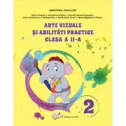 Arte vizuale si abilitati practice. Manual clasa a 2-a