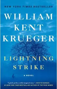 Lightning Strike: A Novelvolume 18
