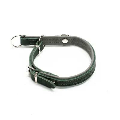 Zgarda combi culisanta din piele cu opritor - Verde-Gri - 30 cm