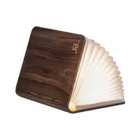 Decorațiune luminoasă maro cu USB Booklight – Gingko