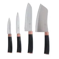 Cutite Bucatarie, Otel Inoxidabil, Maner Plastic, 4 Bucati, Grunberg
