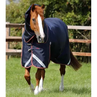 Căptușeală exterioară pentru cal Premier Equine Titan Trio Com