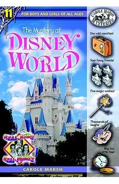 The Mystery at Disney World