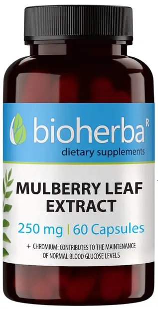 Mulberry Leaf Extract, 250 mg, 60 capsule, Bioherba
