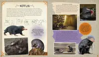 J.K. Rowling's Wizarding World