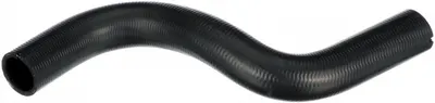 Furtun radiator inferior (32mm 32mm) potrivit ALFA ROMEO 147, GT 1.9D 04.01-09.10
