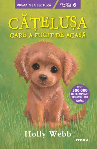 Catelusa care a fugit de acasa (Nivelul 6)