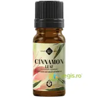 Ulei Esential de Scortisoara Frunza 10ml