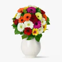 Buchet de 35 gerbera multicolore