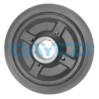 Fulie curea, arbore cotit DAYCO DPV1156