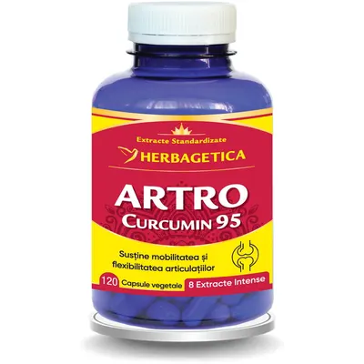 Artro Curcumin 95 120cps