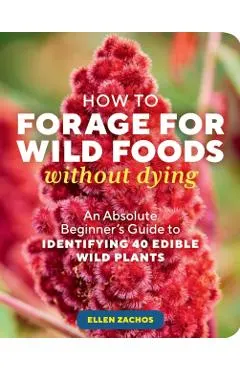 How to Forage for Wild Foods Without Dying: An Absolute Beginner's Guide to Identifying 40 Edible Wild Plants