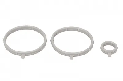 Garnitura carcasa termostat potrivit BMW 3 (G20, G80, G28), 3 (G21, G81), 4 (G22, G82), 4 (G23, G83), 4 GRAN COUPE (G26), 5 (G30, F90), 5 (G31), 5 (G60, G90, G68), 5 (G61, G99) 3.0D 3.0DH 07.17