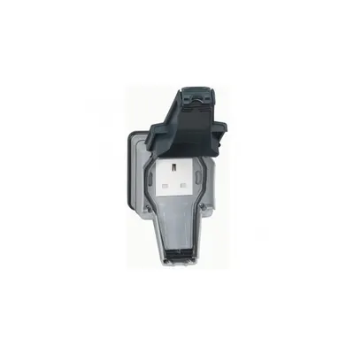 priza Plexo 66 - 1 module unswitched - moulded plug - 13 A 250 V~ - gri