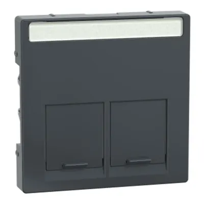 Placa Centrala dubla pentru Conector-Schneider Electric Rj45, Antracit