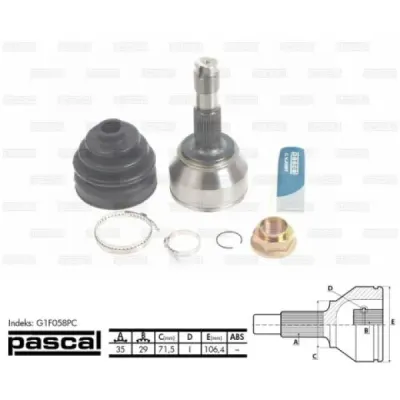 Set articulatie, planetara PASCAL G1F058PC