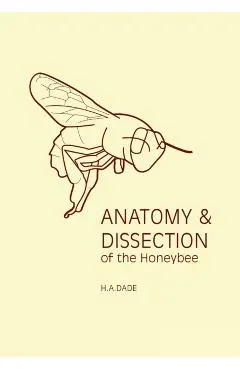 Anatomy and Dissection of the Honeybee