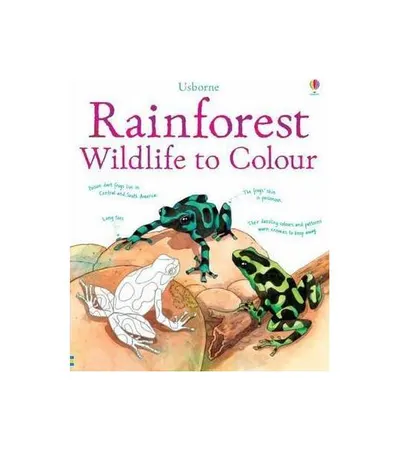 Rainforest Wildlife to Colour - Paperback brosat - Megan Cullis, Susan Meredith