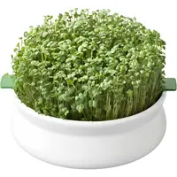 Vas pentru Germinare Seminte Mucilaginoase