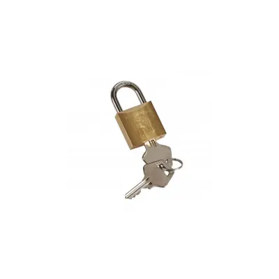 Padlock u009DØ5 mm DX³ - shackle type