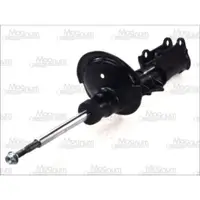Amortizor Magnum Technology AGV013MT
