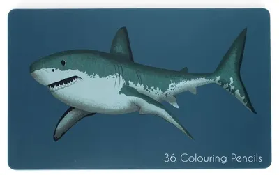 Rex London set de creioane colorate - Sharks, 36 bucăți, în cutie metalică