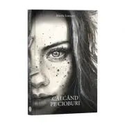 Calcand pe cioburi