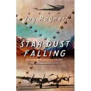 Star Dust Falling. The Story of the Plane That Vanished