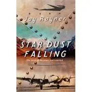 Star Dust Falling. The Story of the Plane That Vanished