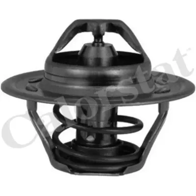 Termostat, lichid racire CALORSTAT by Vernet TH6244.92J