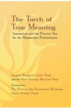 Torch of True Meaning: Instructions and the Practice for the Mahamudra Preliminaries