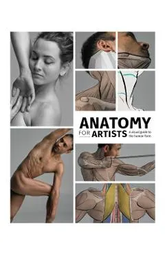 Anatomy for Artists: A Visual Guide to the Human Form