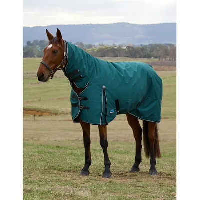 Căptușeală exterioară pentru cai Weatherbeeta Comfitec Classic Combo 220g