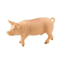 Purcel